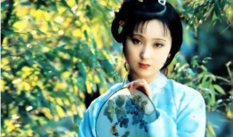 红楼梦五部在线观看,穿越时空的古典名著之旅