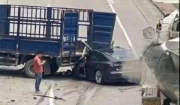 特斯拉爆料博主视频播放,揭秘博主视频背后的真实故事