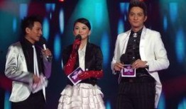 三亚主持人爆料新闻事件,揭秘某重大新闻事件内幕