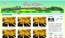 东莞桥头新闻爆料最新,最新爆料揭示惊人真相